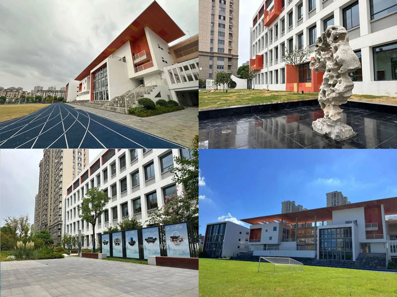 1725259996703912.jpg 8.jpg